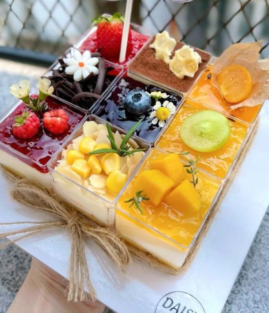 Bánh panna cotta 3